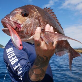 Gulp!® Nuggets and Dough - Berkley Fishing New Zealand